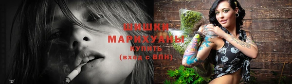 стаф Бородино