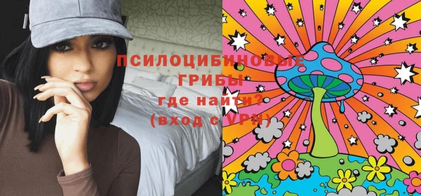 стаф Бородино