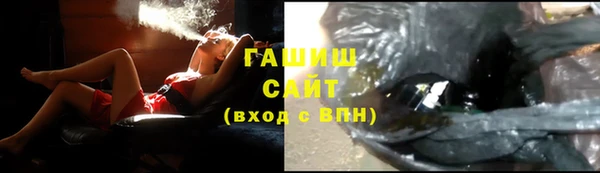 стаф Бородино