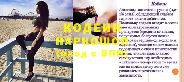стаф Бородино