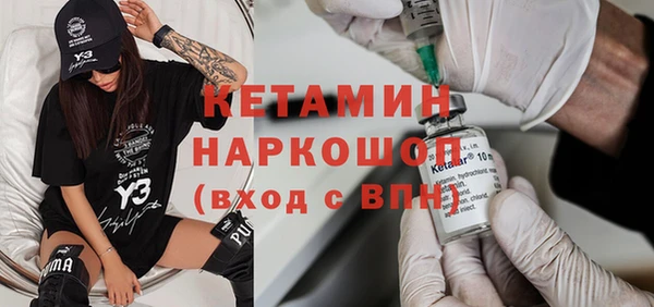 стаф Бородино